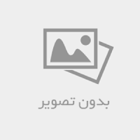 ماهی نارنجی